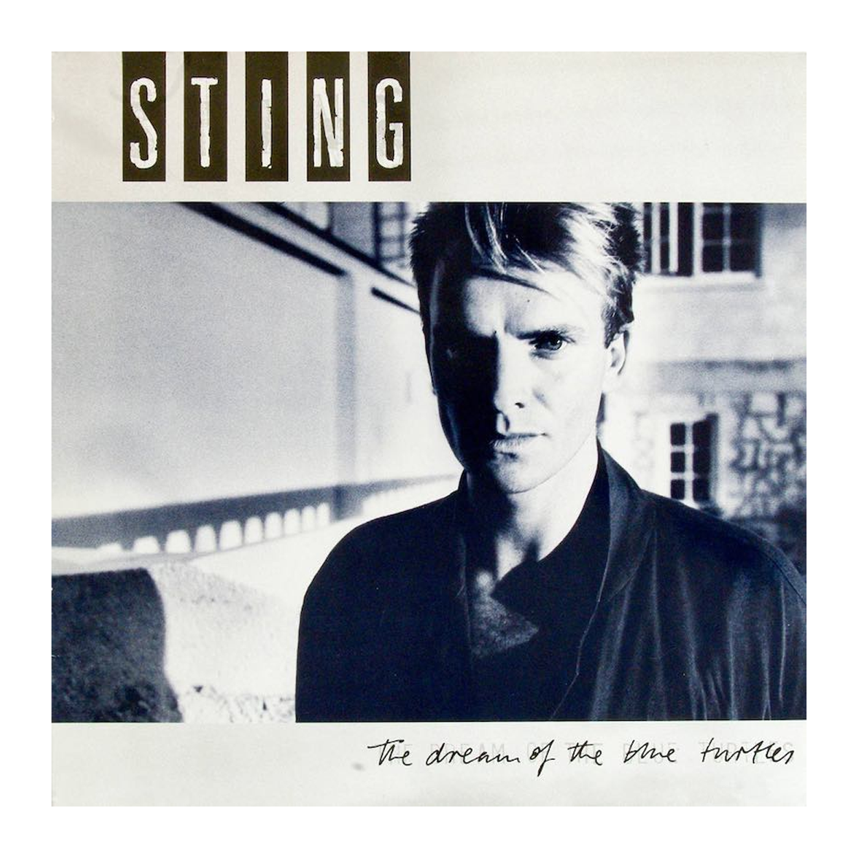 Sting - The Dream Of The Blue Turtles: CD