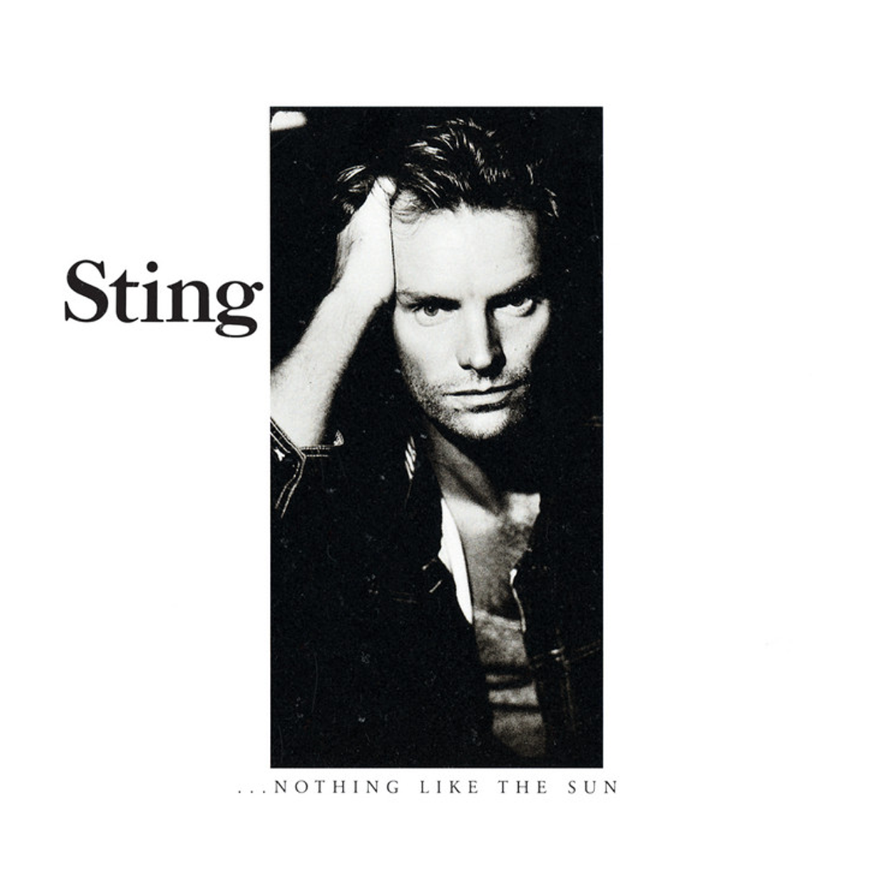 Sting - Nothing Like The Sun: CD